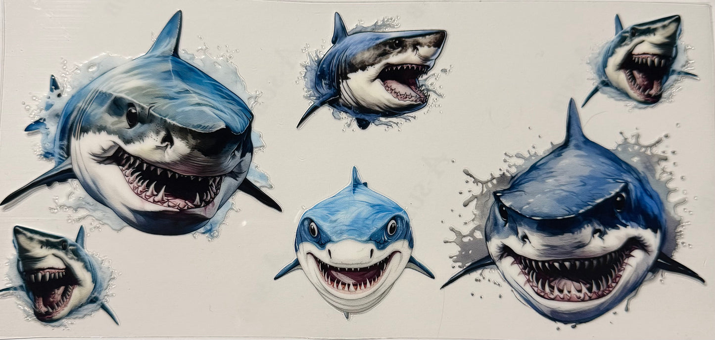 SHARKS 6