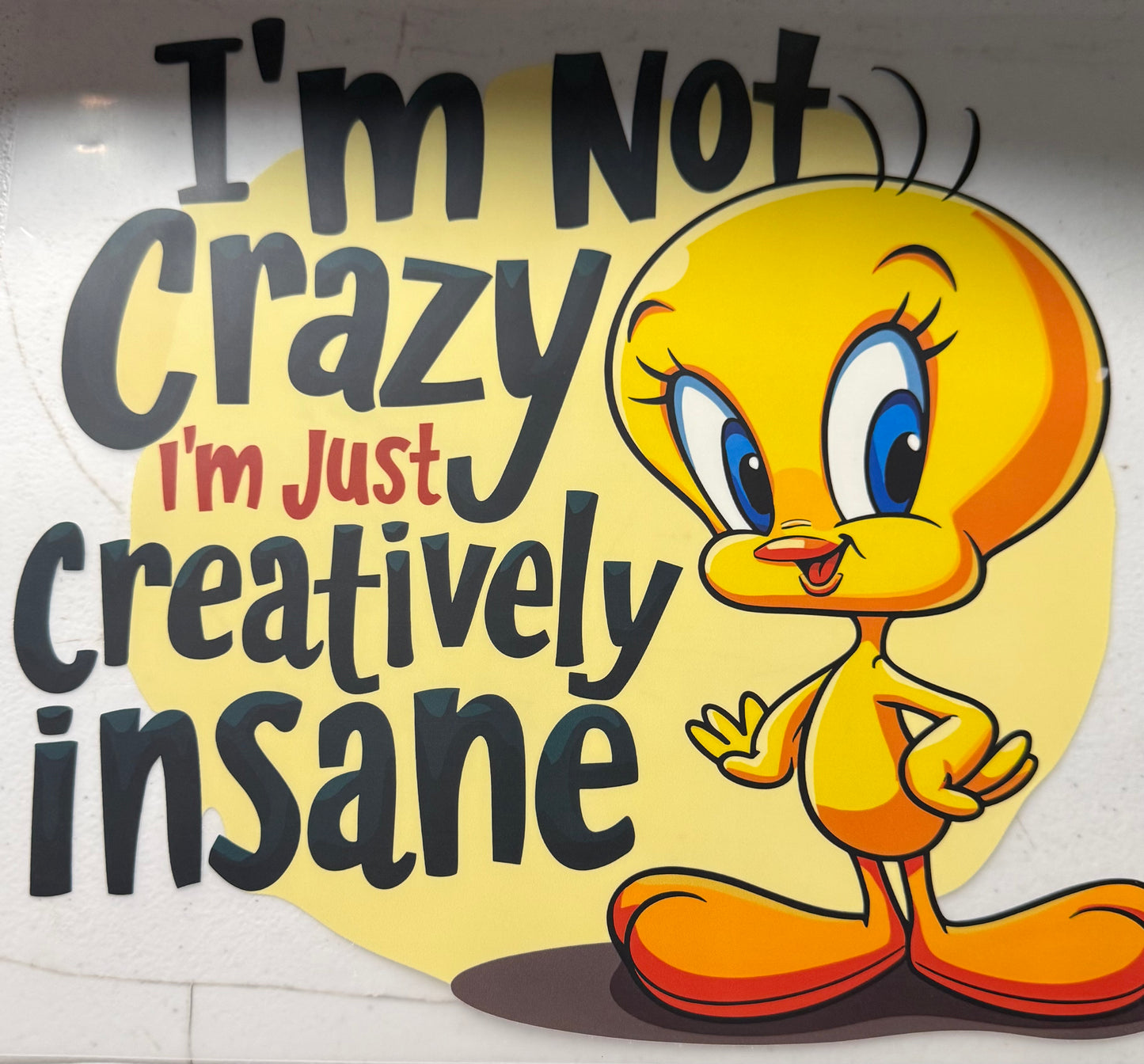 IM NOT CRAZY IM JUST CREATIVELY INSANE