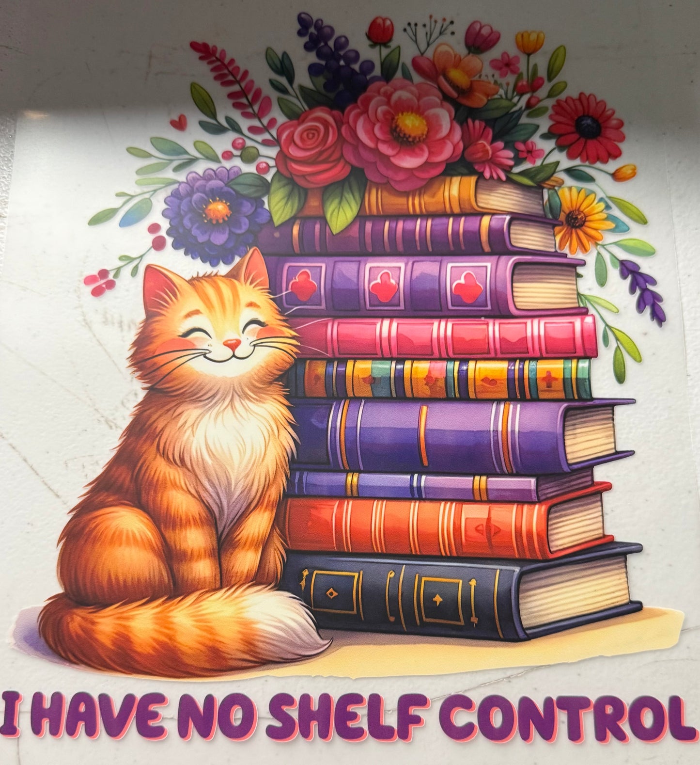I HAVE NO SHELF CONTROL CAT