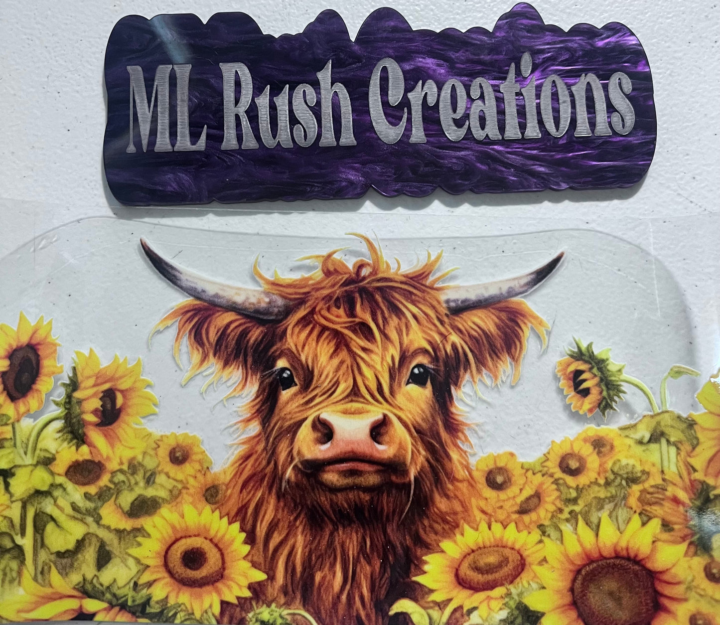 Hyland Cow Sunflower Field