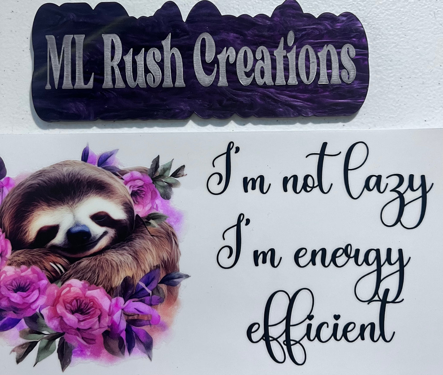 Energy Efficient Sloth
