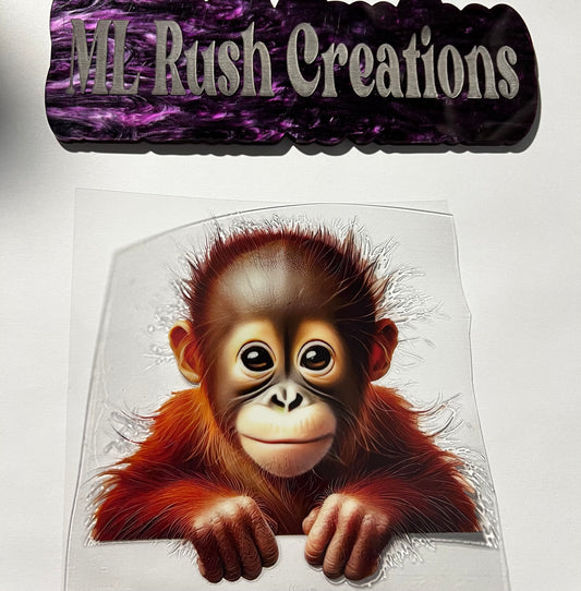 Boy Baby Monkey Decal