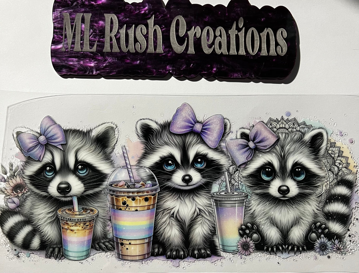 CUTE RACCOONS