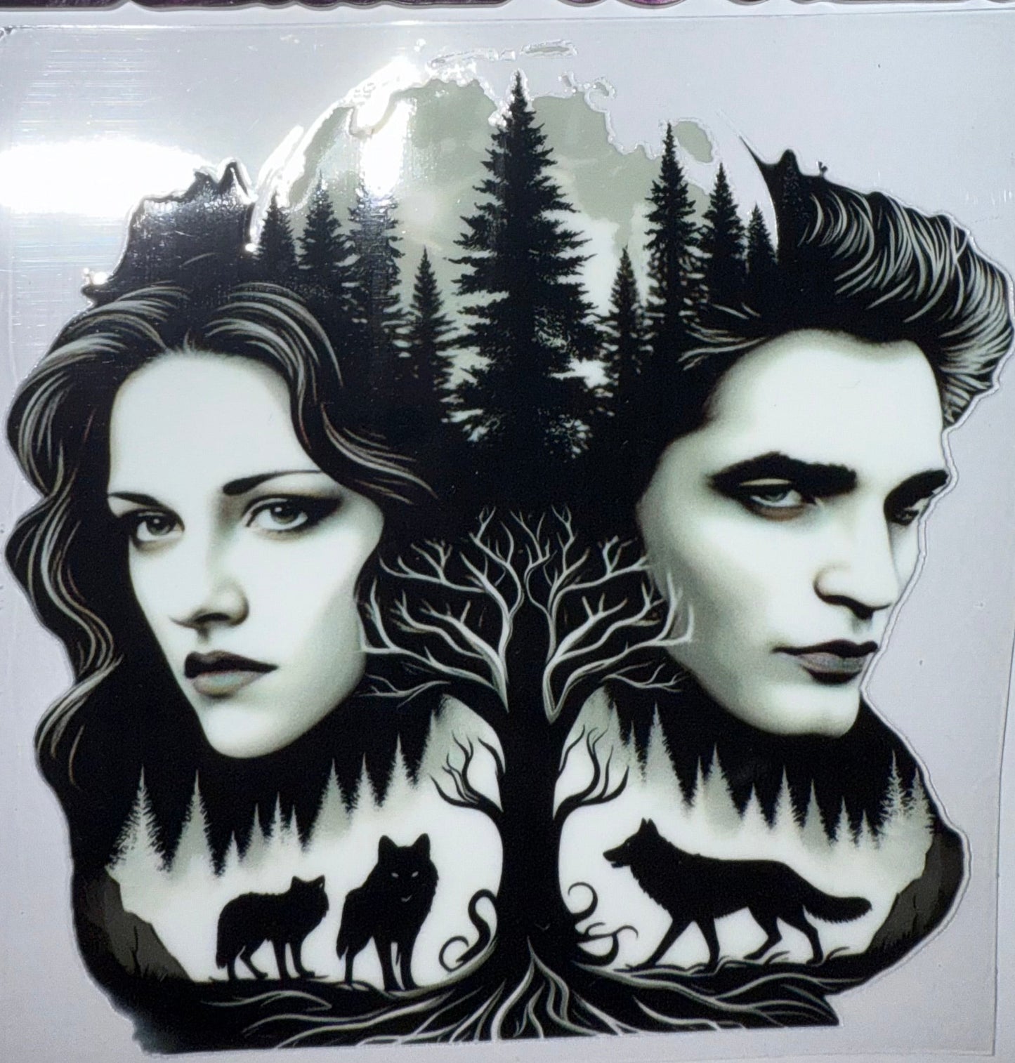 BELLA EDWARD WOLFS