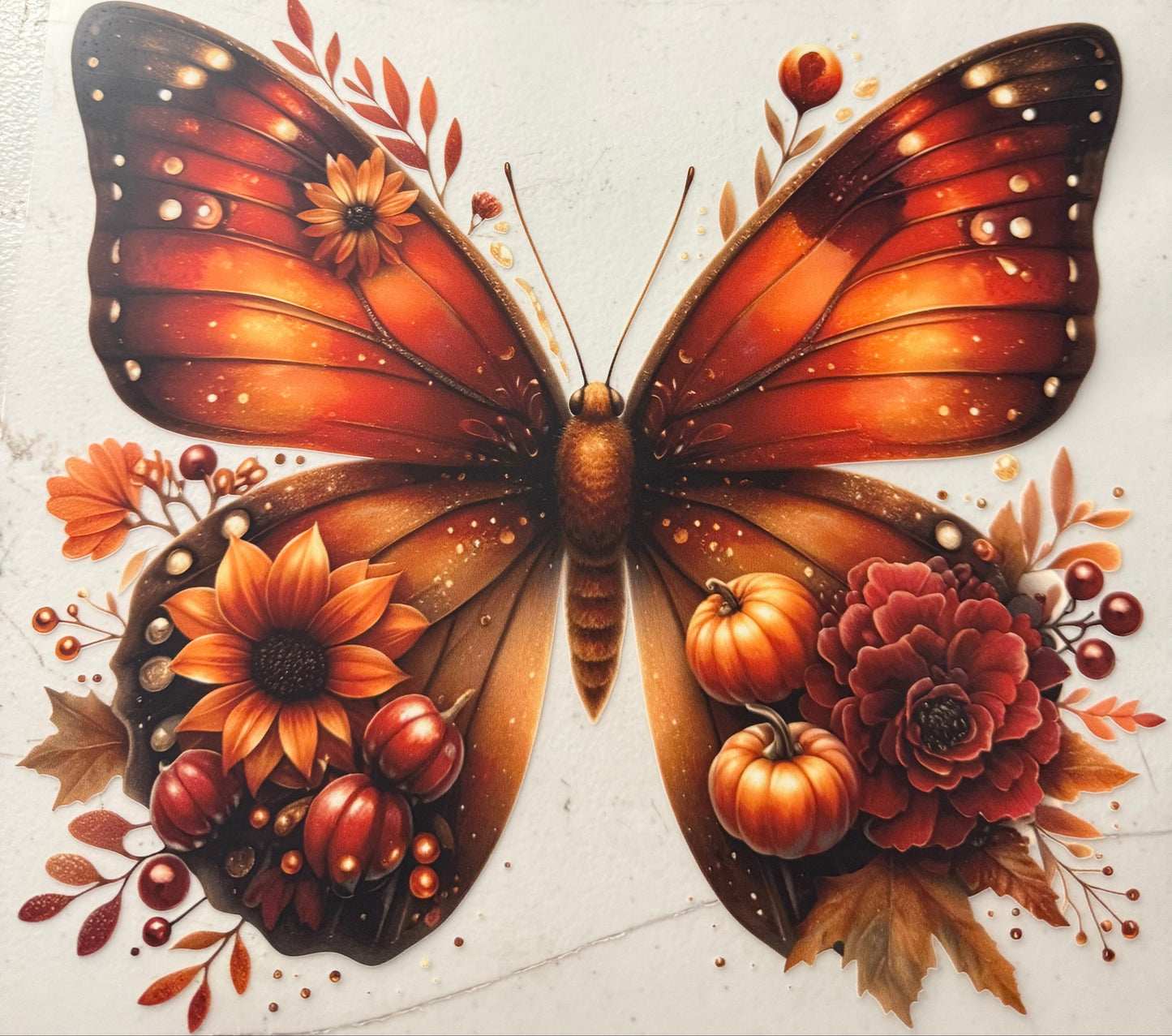 FALL BUTTERFLY SUNFLOWER