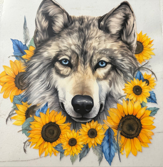 WOLF SUNFLOWERS