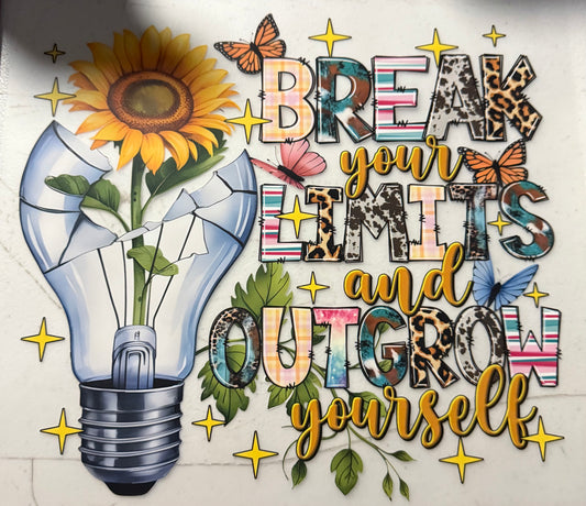 BREAK YOUR LIMITS