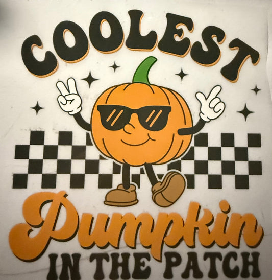 COOLEST PUMPKIN THE PATCH