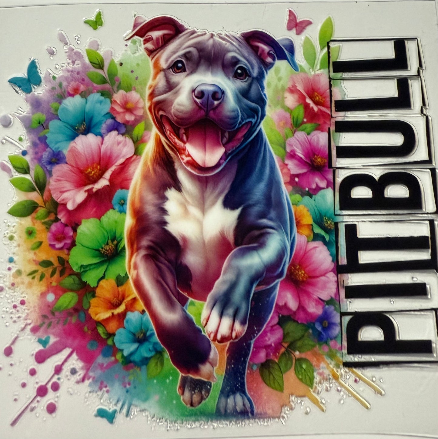 PITBULL WATERCOLORS