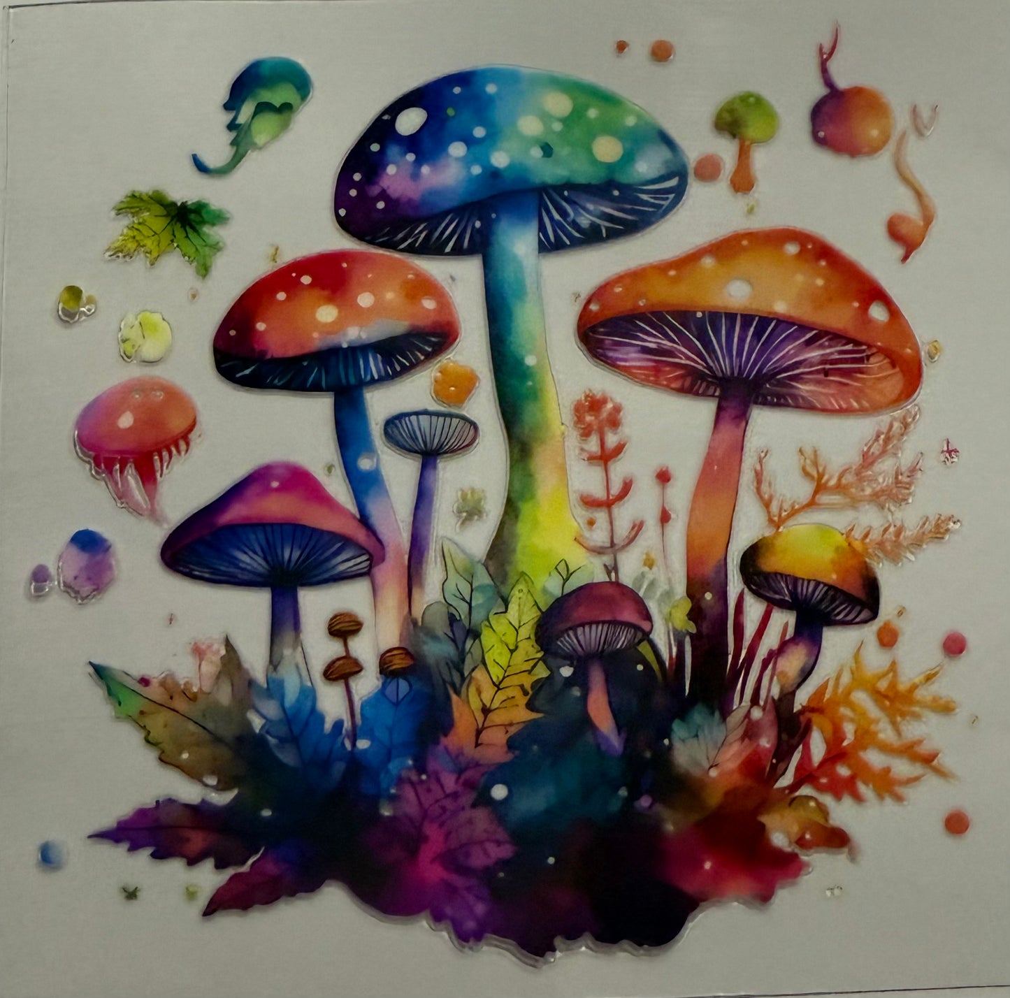 MUSHROOMS RAINBOW