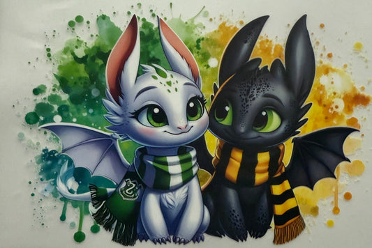 WHITE AND BLACK DRAGONS KIDS