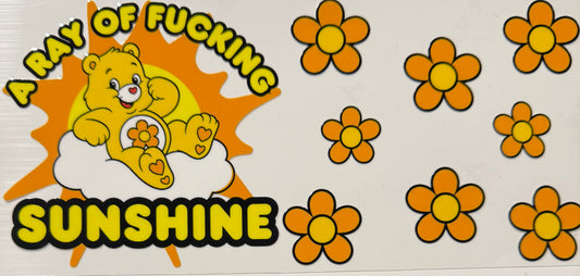 RAY OF F-ING SUNSHINE