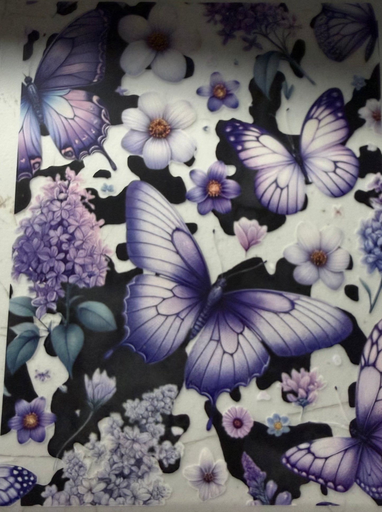 PURPLE BUTTERFLIES WHITE FLOWERS