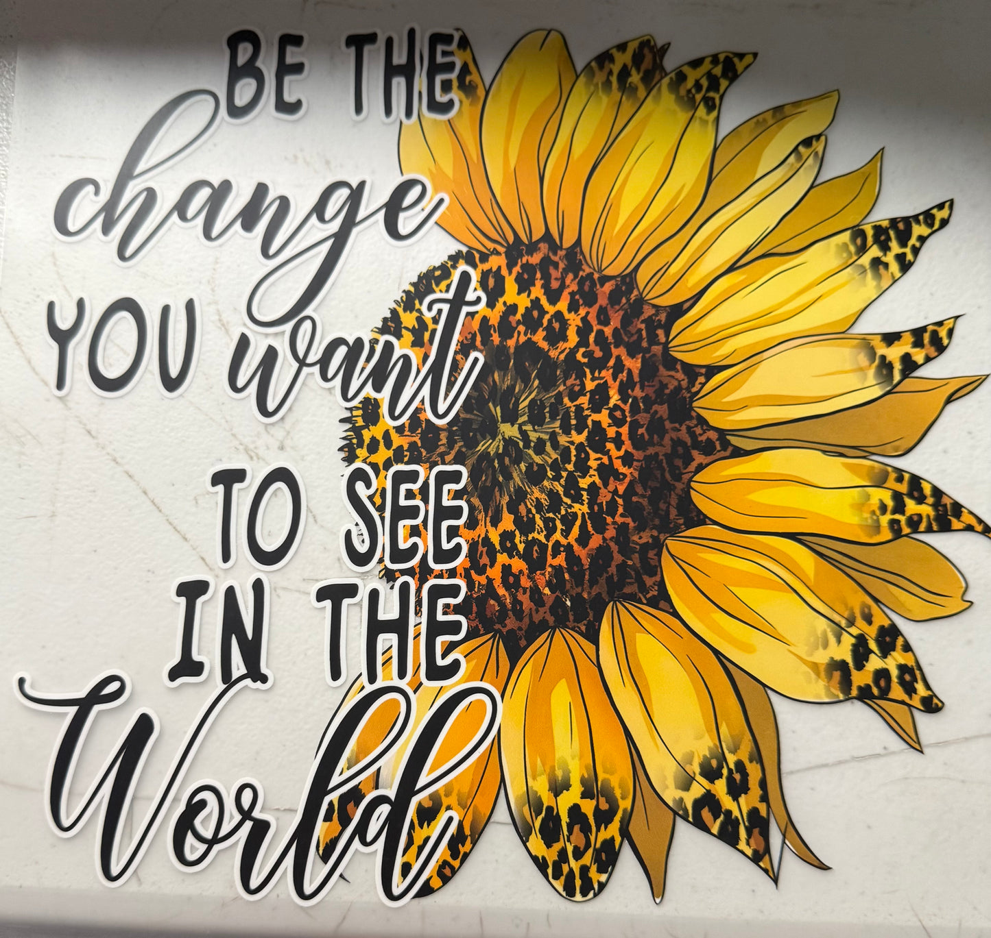 BE THE CHANGE YOU WANT IN THE WORLD