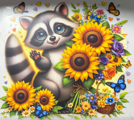 RACCOON SUNFLOWERS