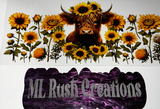 HYLAND COW SUNFLOWERS