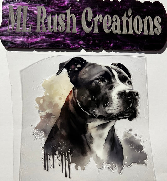 PITBULL PAINT