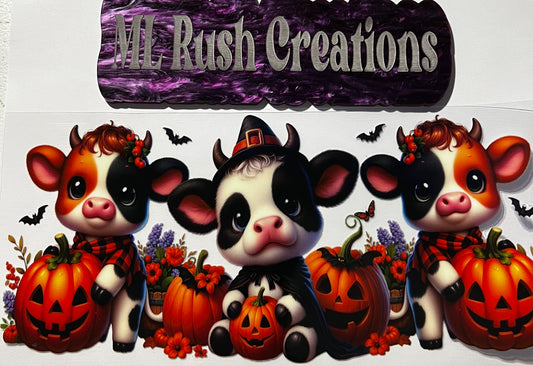 COWS PUMPKINS