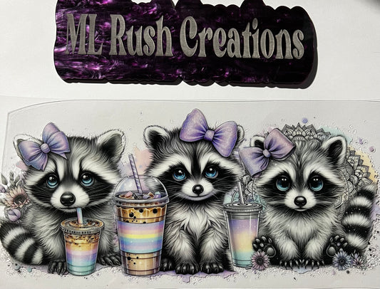 CUTE RACCOONS