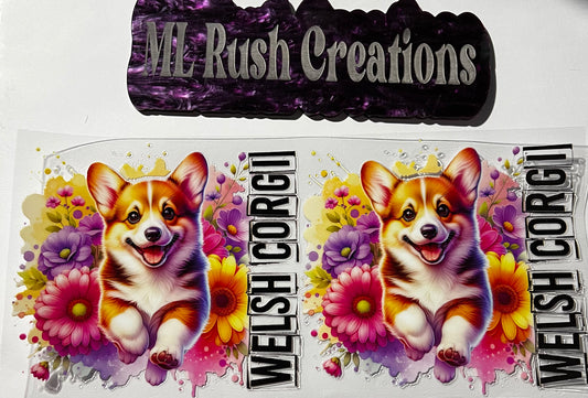 WELSH CORGII
