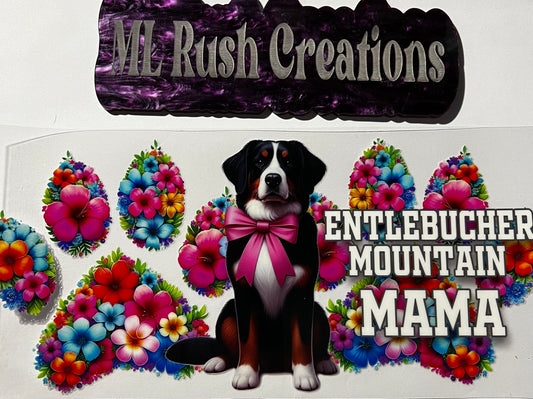 ENTLEBUCHER MOUNTAIN MAMA