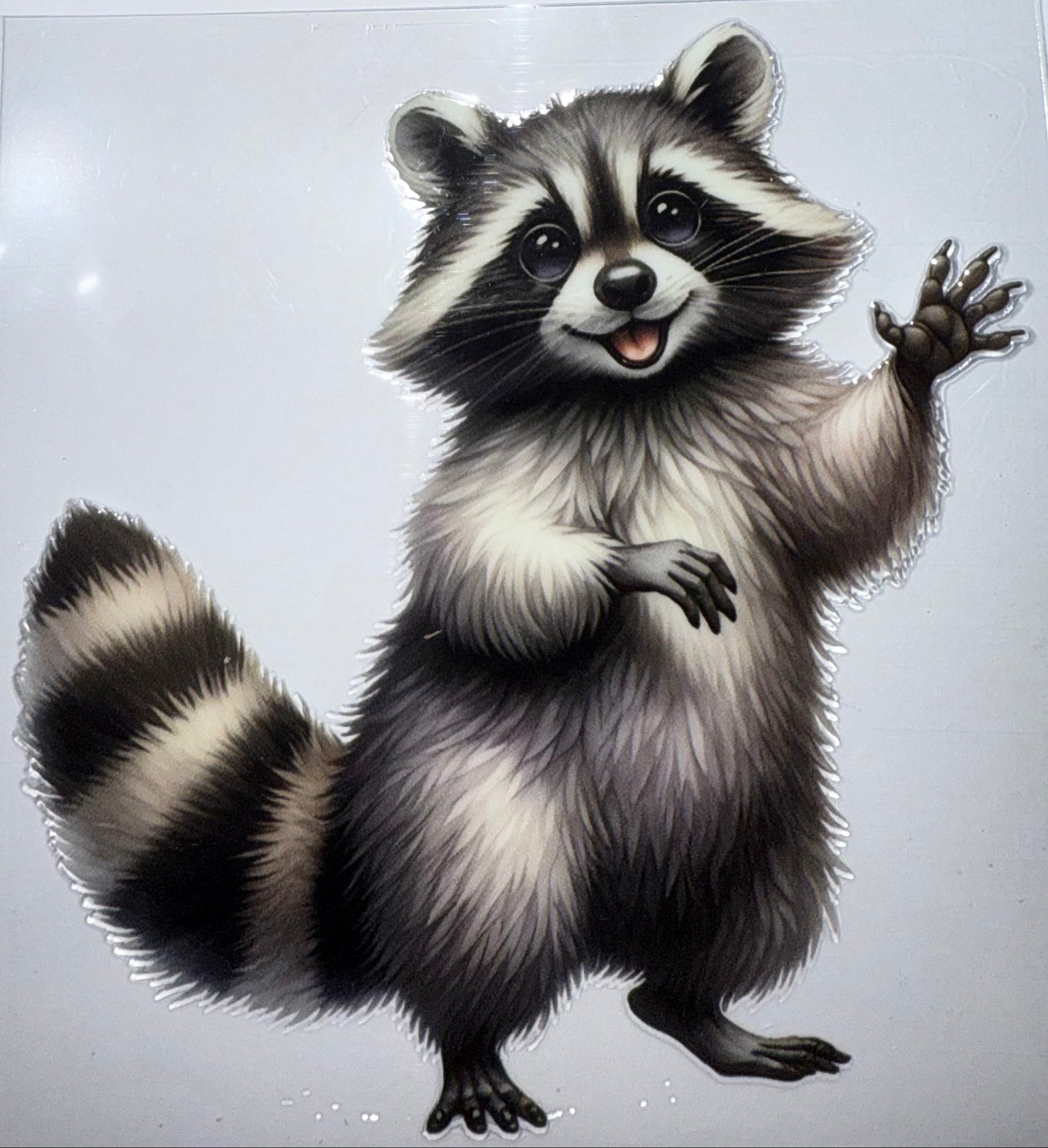 RACCOON