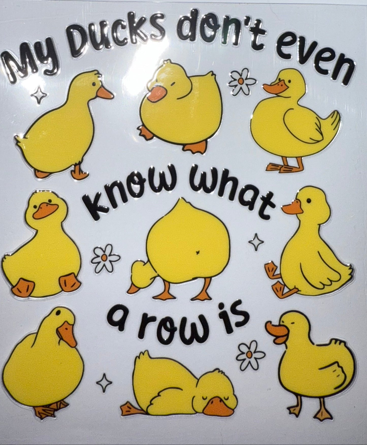 MY DUCKS DONT EVEN KNOW WHAT A ROW IS