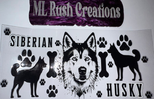 SIBERIAN HUSKY BLACK