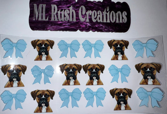 BOXER BLUE BOWS