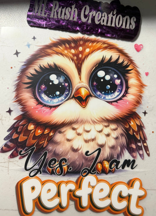 OWL YES I AM PERFECT