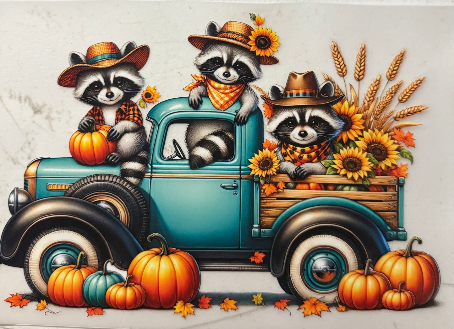 TRUCK RACCOONS