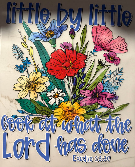 LITTLE BY LITTLE LOOK AT WHAT THE LORD