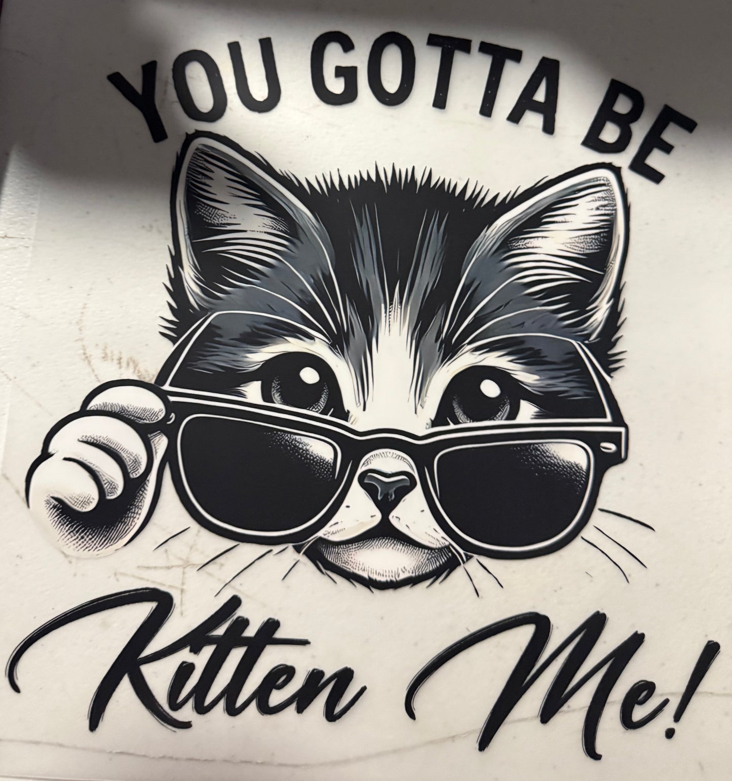 YOU GOTTA BE KITTEN ME