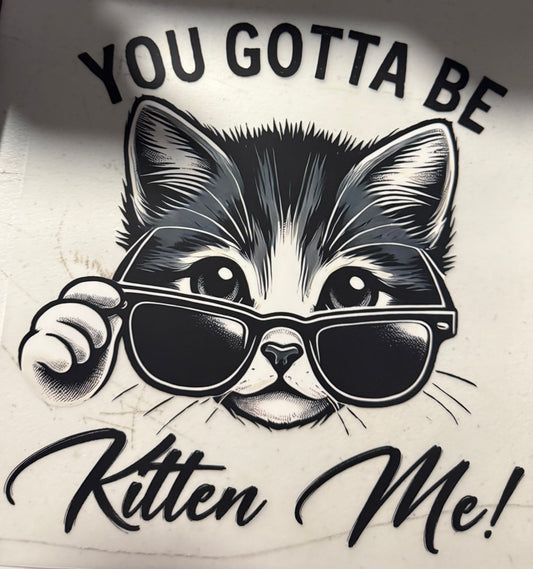 YOU GOTTA BE KITTEN ME