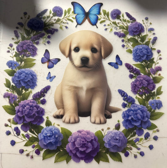 LAB PUPPY  FLOWERS