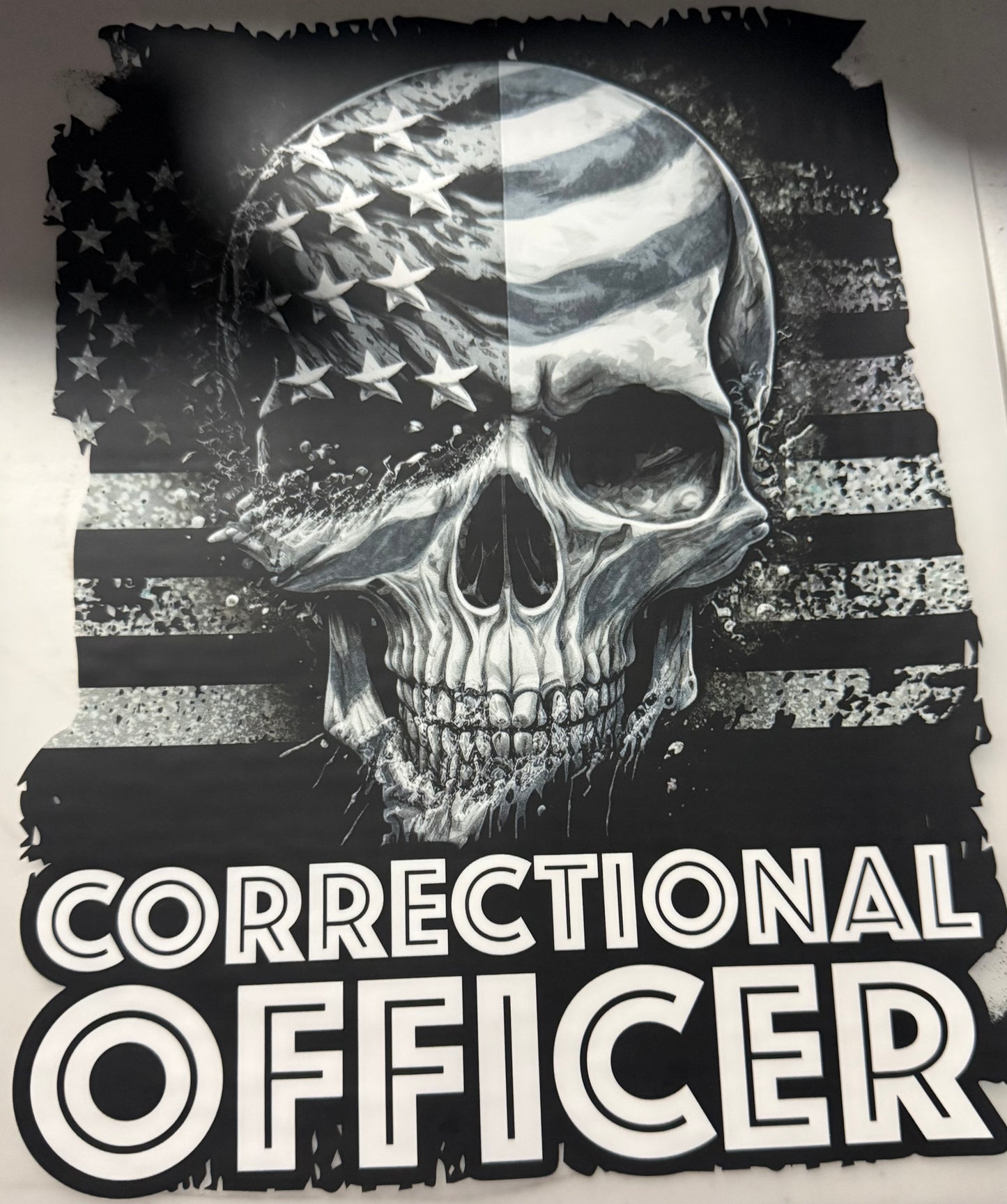 CORRECTIONAL OFFICER