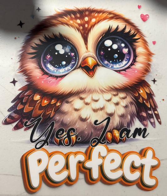 YES I AM PERFECT