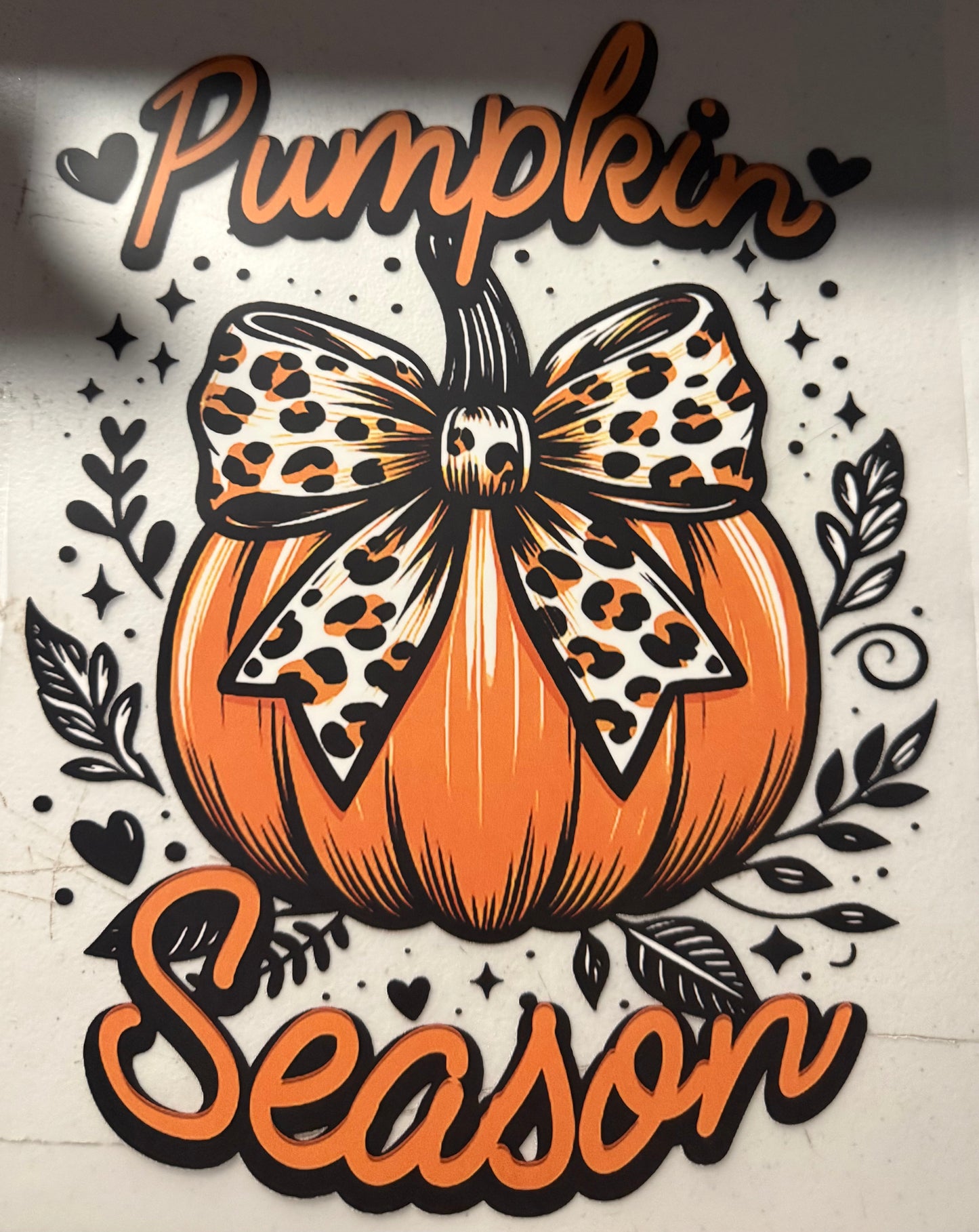 PUMPKIN SEASON CHEETAH