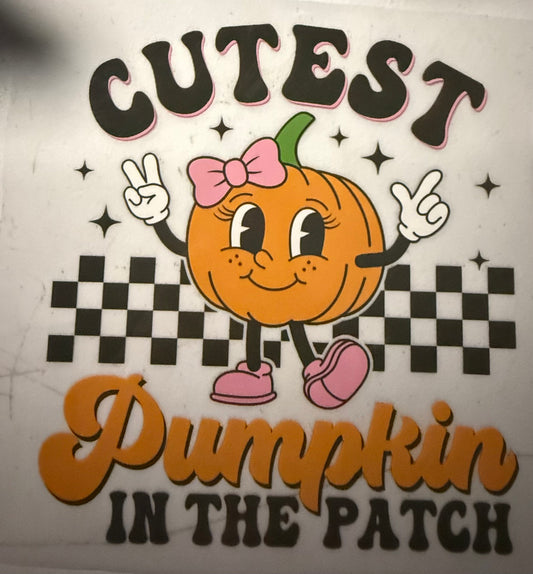 CUTEST PUMPKIN IN THE PATCH
