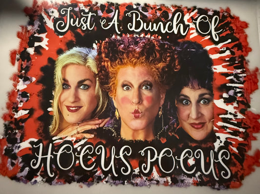 JUST A BUNCH OF HOCUS POCUS