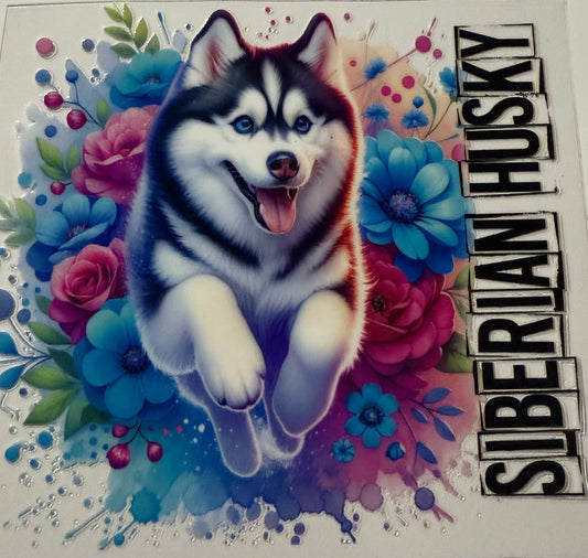 HUSKY WATERCOLORS