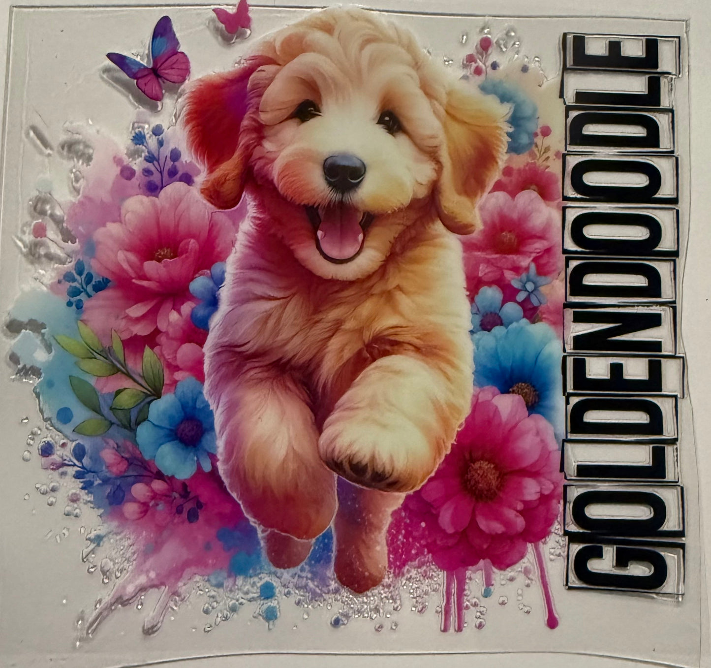 GOLDENDOODLE