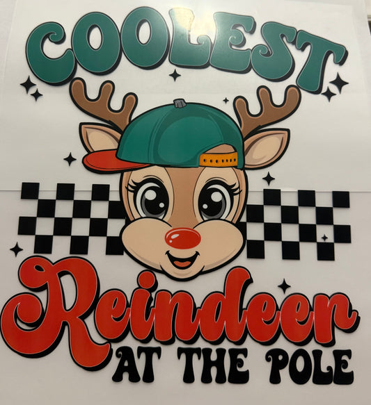 COOLEST REINDEER AT THE POLE