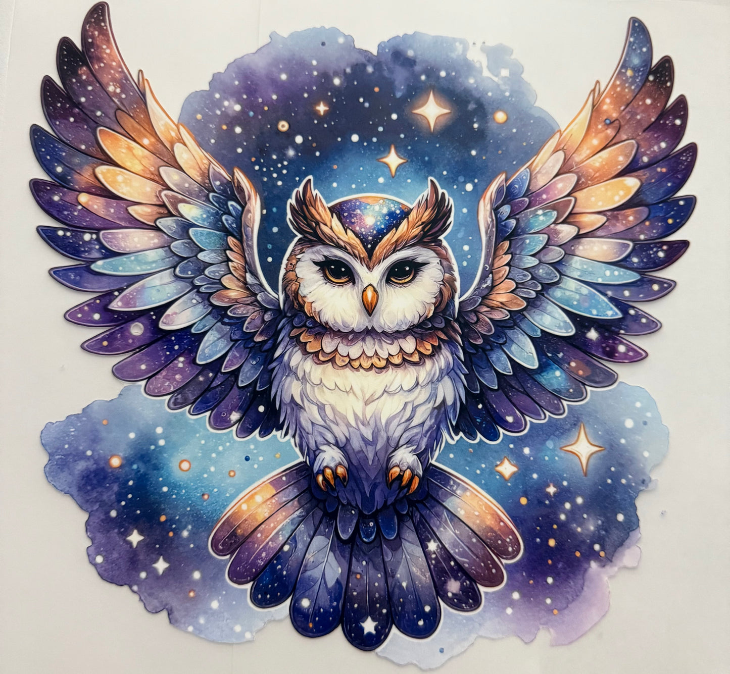 OWL IN THE NIGHT