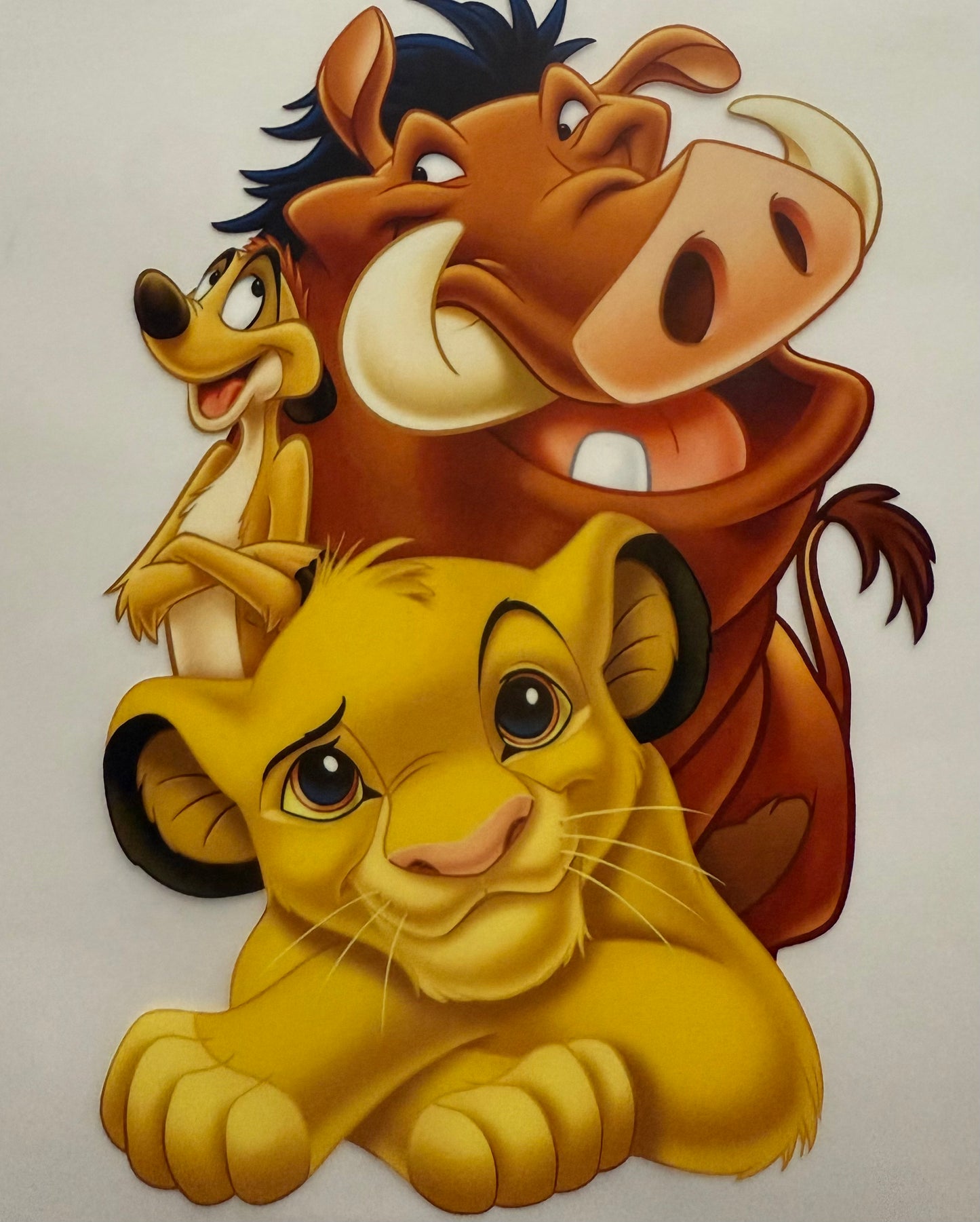 BABY LION AND FRIENDS KIDS